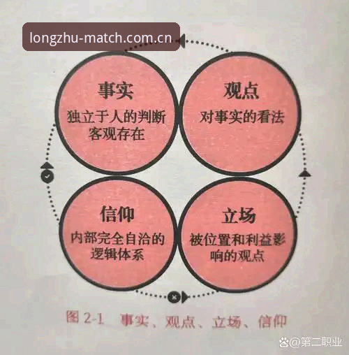 龙珠体育官网深度解析：一个谨慎用户的真实体验与使用逻辑